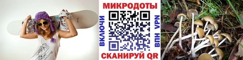 мориарти официальный сайт  Рыбное  Галлюциногенные грибы ЛСД 